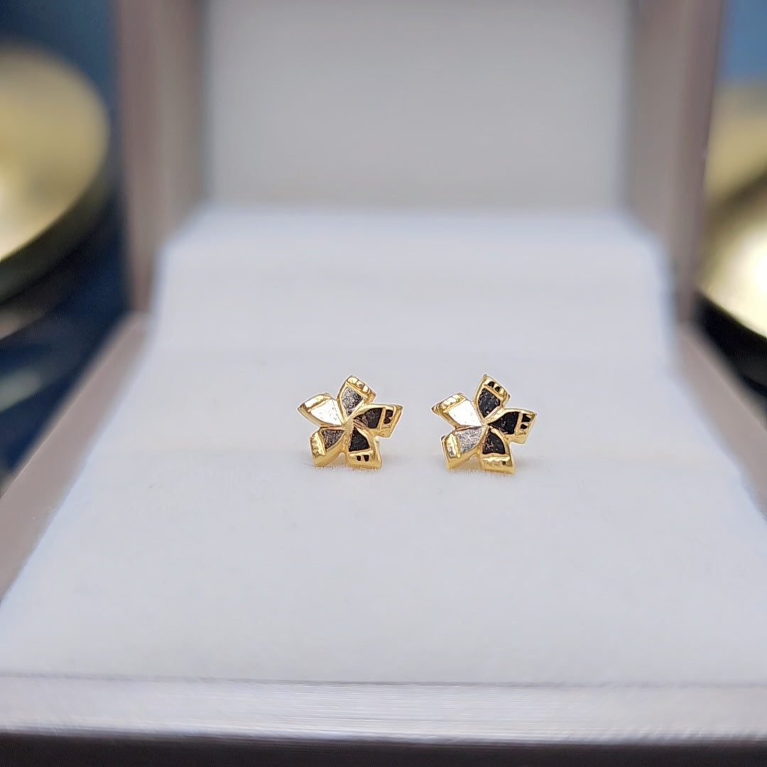 star Ear studs 21.ct